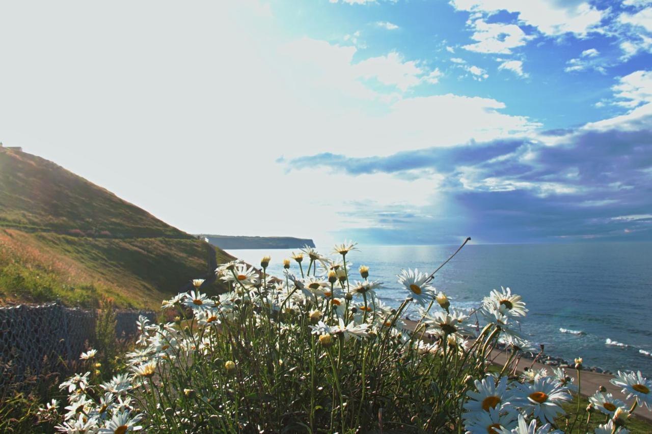 Hotel Haven Crest Whitby Zewnętrze zdjęcie